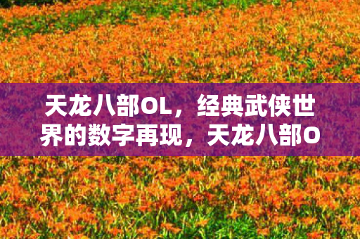 天龙八部OL,经典武侠世界的数字再现,天龙八部OL,经典武侠世界的数字再现 天龙八部OL,经典武侠世界的数字再现,天龙八部OL,经典武侠世界的数字再现