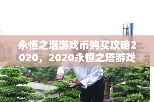 永恒之塔游戏币购买攻略2020图片