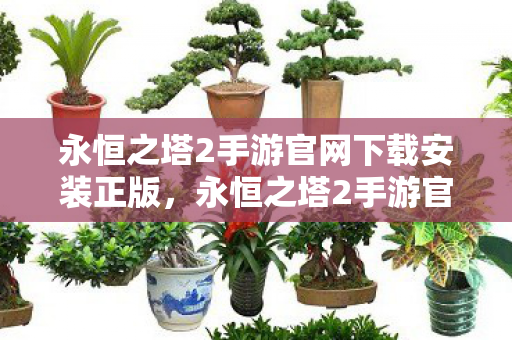 永恒之塔2手游官网下载安装正版图片