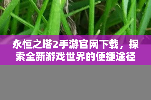 探索全新游戏世界的便捷途径图片