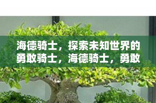 海德骑士,探索未知世界的勇敢骑士,海德骑士,勇敢探索未知世界的骑士 海德骑士,探索未知世界的勇敢骑士,海德骑士,勇敢探索未知世界的骑士