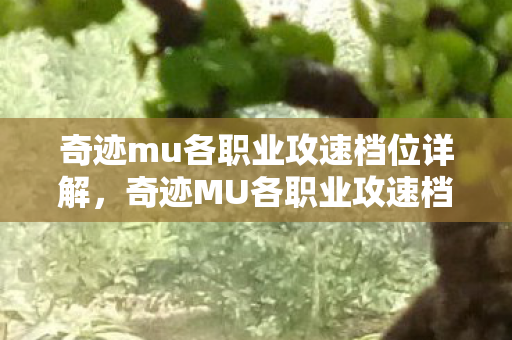 奇迹mu各职业攻速档位详解,奇迹MU各职业攻速档位全解析 奇迹mu各职业攻速档位详解,奇迹MU各职业攻速档位全解析