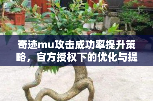 奇迹mu攻击成功率提升策略,官方授权下的优化与提升,奇迹MU,官方授权下的攻击成功率提升策略与优化 奇迹mu攻击成功率提升策略,官方授权下的优化与提升,奇迹MU,官方授权下的攻击成功率提升策略与优化