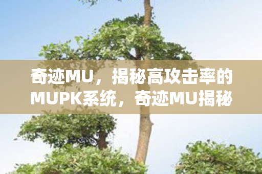 奇迹MU,揭秘高攻击率的MUPK系统,奇迹MU揭秘,高攻击率MUPK系统全解析 奇迹MU,揭秘高攻击率的MUPK系统,奇迹MU揭秘,高攻击率MUPK系统全解析
