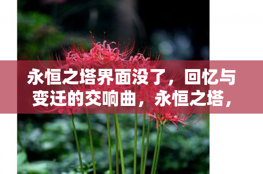 回忆与变迁的交响曲图片