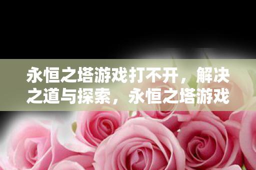 永恒之塔游戏打不开图片