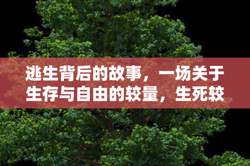 逃生背后的故事,一场关于生存与自由的较量,生死较量,逃生背后的生存与自由之战 逃生背后的故事,一场关于生存与自由的较量,生死较量,逃生背后的生存与自由之战