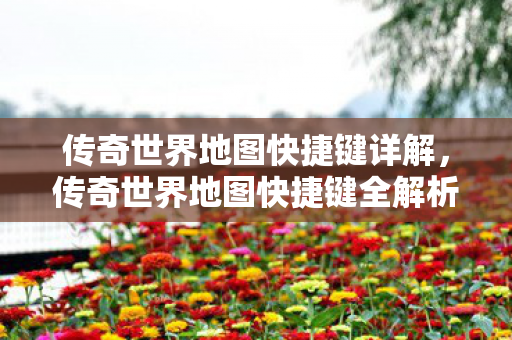 传奇世界地图快捷键全解析图片