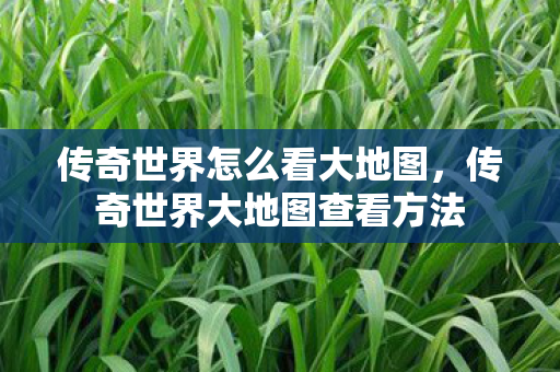 传奇世界大地图查看方法图片