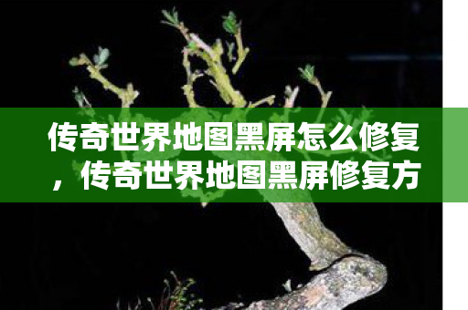 传奇世界地图黑屏怎么修复图片