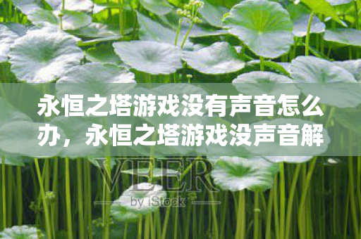 永恒之塔游戏没有声音怎么办图片
