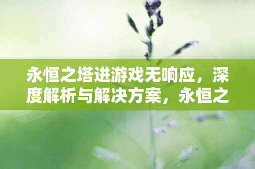 永恒之塔进游戏无响应图片