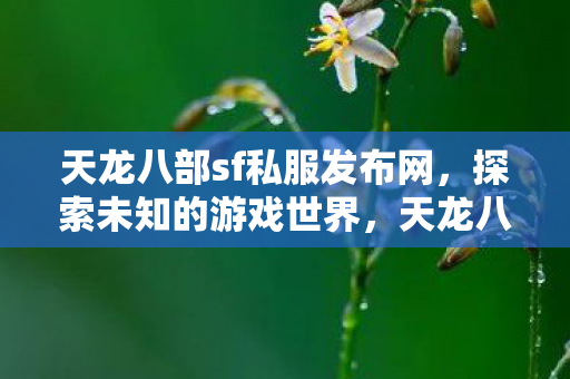 天龙八部sf私服发布网,探索未知的游戏世界,天龙八部sf私服发布网,探索未知的游戏世界 天龙八部sf私服发布网,探索未知的游戏世界,天龙八部sf私服发布网,探索未知的游戏世界