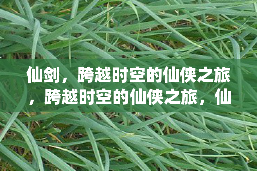 仙剑,跨越时空的仙侠之旅,跨越时空的仙侠之旅,仙剑 仙剑,跨越时空的仙侠之旅,跨越时空的仙侠之旅,仙剑