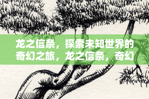 龙之信条,探索未知世界的奇幻之旅,龙之信条,奇幻之旅探索未知世界 龙之信条,探索未知世界的奇幻之旅,龙之信条,奇幻之旅探索未知世界