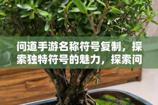 问道手游名称符号复制,探索独特符号的魅力,探索问道手游独特符号的魅力 问道手游名称符号复制,探索独特符号的魅力,探索问道手游独特符号的魅力