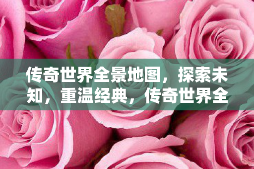 传奇世界全景地图图片