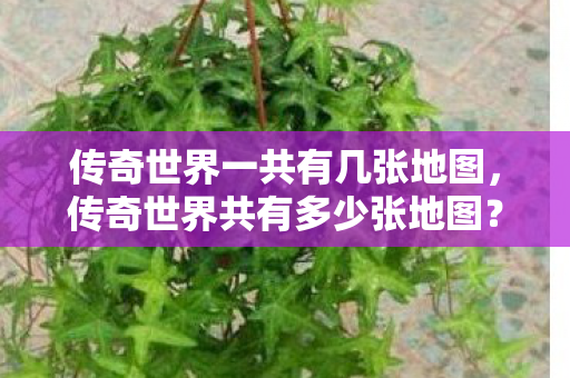 传奇世界一共有几张地图图片