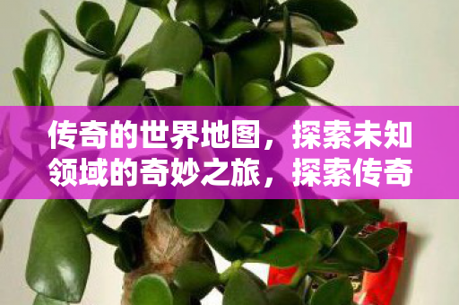 探索未知领域的奇妙之旅图片