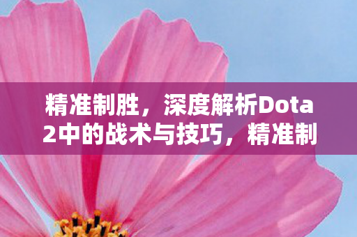 精准制胜，深度解析Dota2中的战术与技巧，精准制胜，Dota2战术与技巧的深度剖析