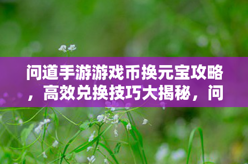 问道手游游戏币换元宝攻略,高效兑换技巧大揭秘,问道手游游戏币换元宝攻略,高效兑换技巧全解析 问道手游游戏币换元宝攻略,高效兑换技巧大揭秘,问道手游游戏币换元宝攻略,高效兑换技巧全解析