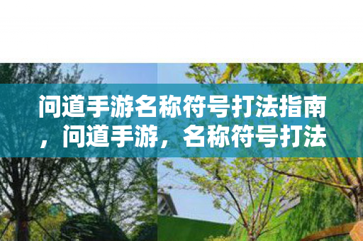 问道手游名称符号打法指南，问道手游，名称符号打法全攻略