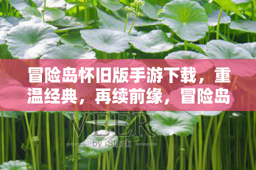 冒险岛怀旧版手游下载图片