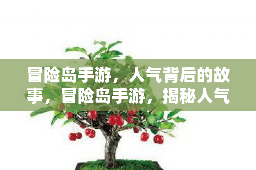 揭秘人气背后的故事图片