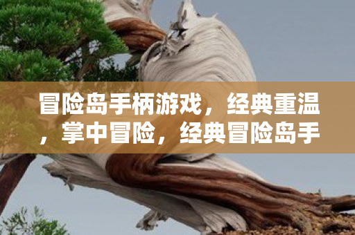 经典冒险岛手柄游戏图片