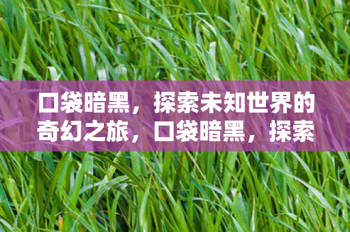 口袋暗黑,探索未知世界的奇幻之旅,口袋暗黑,探索未知世界的奇幻冒险之旅 口袋暗黑,探索未知世界的奇幻之旅,口袋暗黑,探索未知世界的奇幻冒险之旅