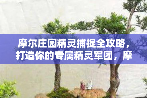 摩尔庄园精灵捕捉全攻略,打造你的专属精灵军团,摩尔庄园,打造专属精灵军团,全攻略助你捕捉精灵 摩尔庄园精灵捕捉全攻略,打造你的专属精灵军团,摩尔庄园,打造专属精灵军团,全攻略助你捕捉精灵