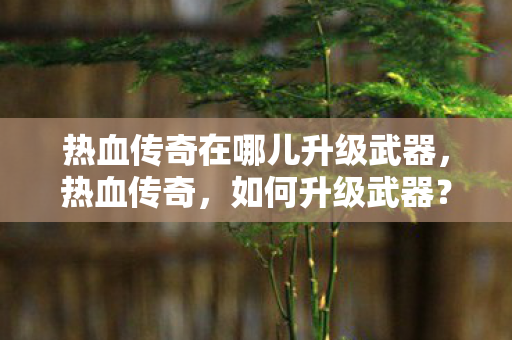 热血传奇在哪儿升级武器,热血传奇,如何升级武器? 热血传奇在哪儿升级武器,热血传奇,如何升级武器?