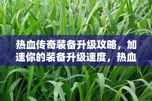 热血传奇装备升级攻略图片