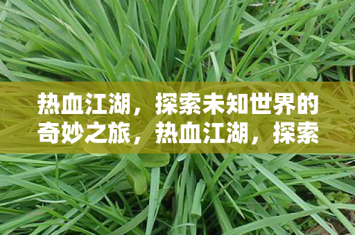 探索未知世界的奇妙之旅图片