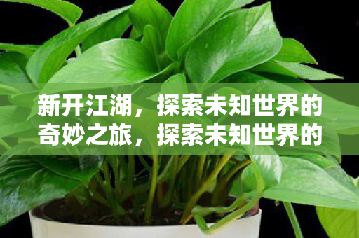 新开江湖,探索未知世界的奇妙之旅,探索未知世界的奇妙之旅,新开江湖 新开江湖,探索未知世界的奇妙之旅,探索未知世界的奇妙之旅,新开江湖