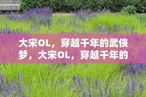 大宋OL，穿越千年的武侠梦，大宋OL，穿越千年的武侠梦