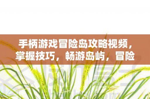 手柄游戏冒险岛攻略视频图片