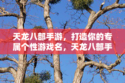 天龙八部手游打造专属个性游戏名图片