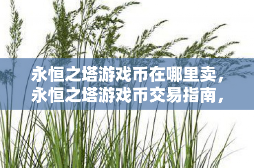 永恒之塔游戏币在哪里卖图片