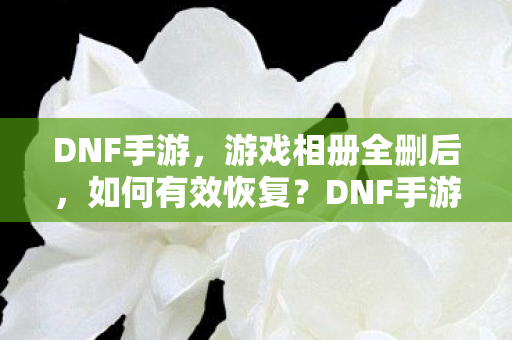 DNF手游,游戏相册全删后,如何有效恢复?DNF手游,游戏相册全删后,如何有效恢复? DNF手游,游戏相册全删后,如何有效恢复?DNF手游,游戏相册全删后,如何有效恢复?