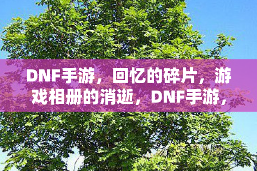 游戏相册的消逝图片