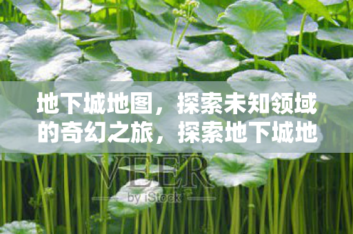探索未知领域的奇幻之旅图片