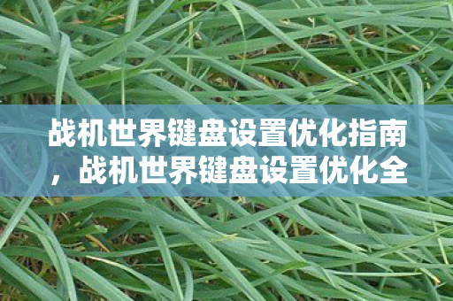 战机世界键盘设置优化指南,战机世界键盘设置优化全攻略 战机世界键盘设置优化指南,战机世界键盘设置优化全攻略