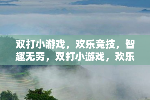 双打小游戏，欢乐竞技，智趣无穷，双打小游戏，欢乐竞技，智趣无穷