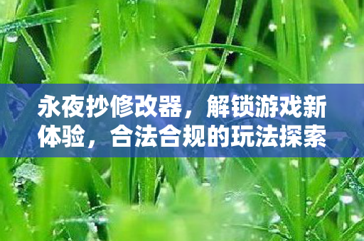 永夜抄修改器，解锁游戏新体验，合法合规的玩法探索，永夜抄修改器，解锁游戏新体验，合法合规探索玩法