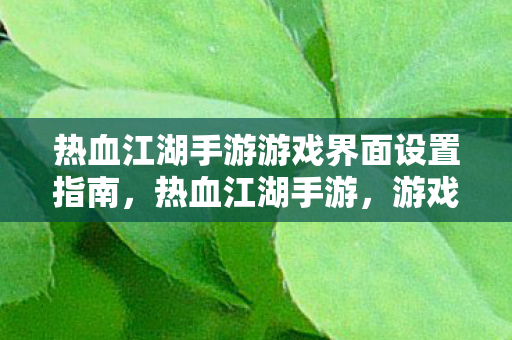热血江湖手游游戏界面设置指南图片