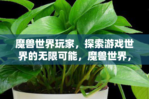 魔兽世界玩家,探索游戏世界的无限可能,魔兽世界,探索游戏世界的无限可能 魔兽世界玩家,探索游戏世界的无限可能,魔兽世界,探索游戏世界的无限可能