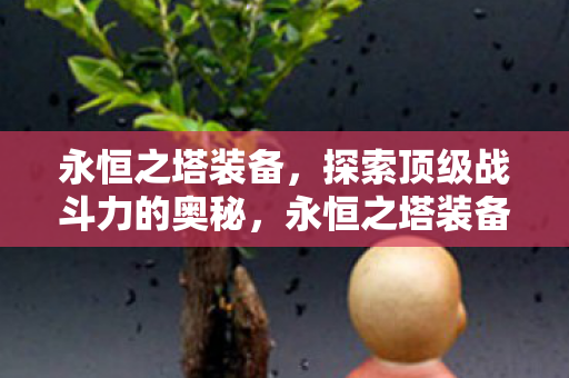 永恒之塔装备，探索顶级战斗力的奥秘，永恒之塔装备，揭秘顶级战斗力来源