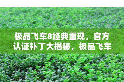 极品飞车8经典重现,官方认证补丁大揭秘,极品飞车8官方认证补丁大揭秘 极品飞车8经典重现,官方认证补丁大揭秘,极品飞车8官方认证补丁大揭秘