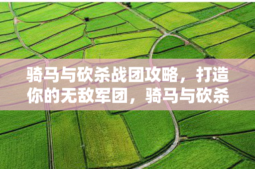 骑马与砍杀战团攻略，打造你的无敌军团，骑马与砍杀战团，打造无敌军团攻略